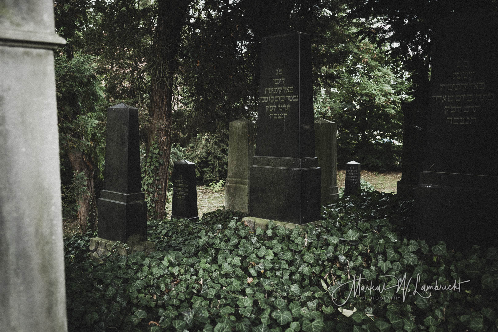 Steinheim (Westfalen), Jüdischer Friedhof